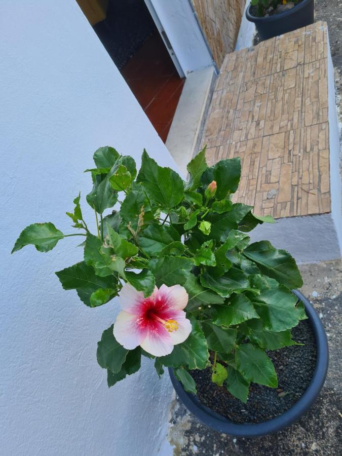 Casa Thalia Old Town Teguise By Pvl Apartment Екстериор снимка